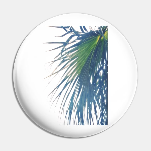 Palm Reverie Pin by RoxanneG