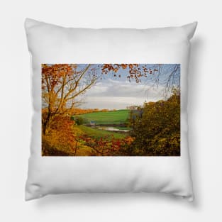 Winterthur Park Pillow