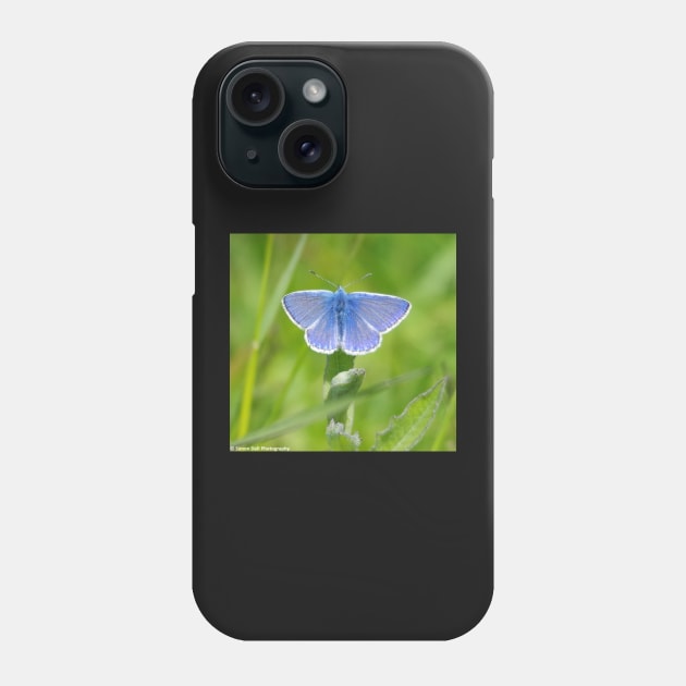 Common Blue butterfly Phone Case by Simon-dell