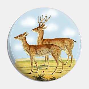 Deers  Illustration Pin