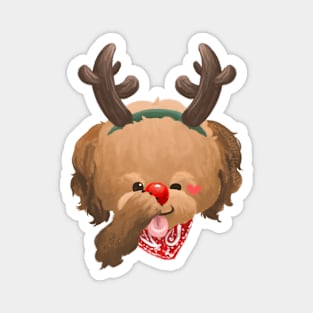 Poodle Dog the Reindeer Magnet