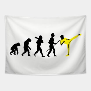 Kung Fu Evolution Tapestry