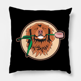 Cute Toller Biting A Flower Pillow