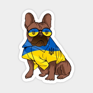 Ukraine Pet Awareness Support Ukrainian Flag Sunglasses Dog Puppy Pug Animals Magnet