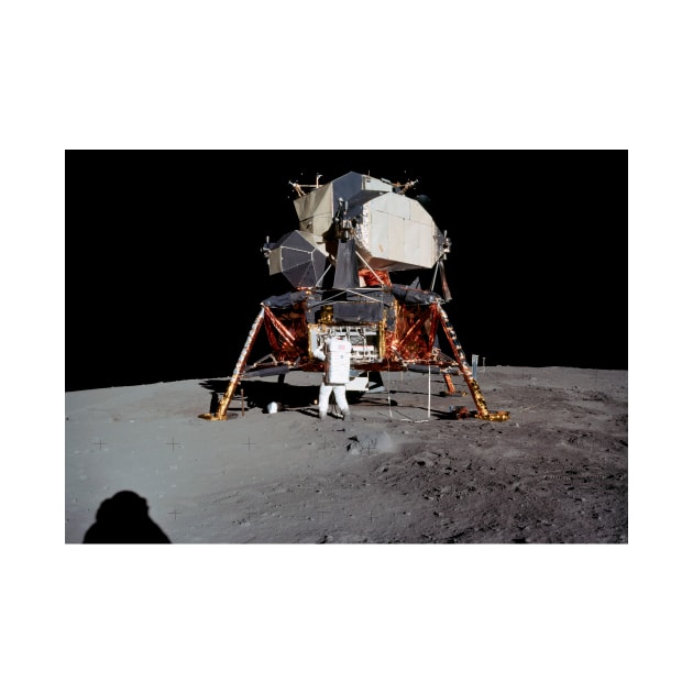 Apollo 11 lunar module (C021/0588) by SciencePhoto