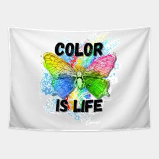 Color is Life Rainbow Butterfly Tapestry