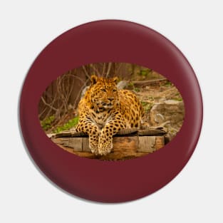 Leopard Pin