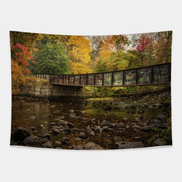 Fall Crossings Tapestry by StacyWhite