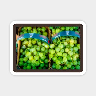 Grapes To Go Magnet