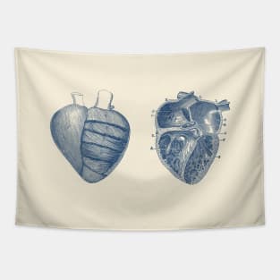 Heart Diagram - Dual View - Vintage Anatomy Tapestry