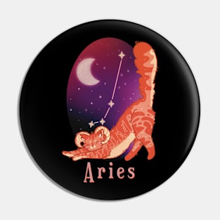 Cat Zodiac Sign Pin