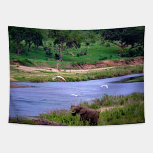 Elephant on the Crocodile River 3 Tapestry