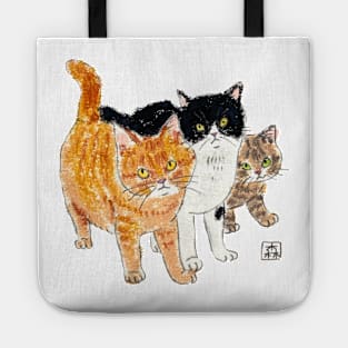 3 cute cats Tote