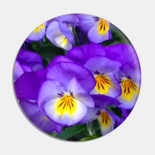 Pansies Pin