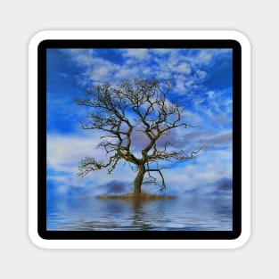 Tree on an Island Magnet