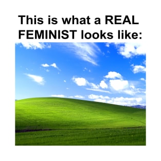 This is what a REAL FEMINIST looks like T-Shirt