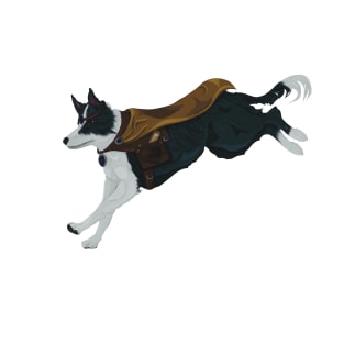 Border Collie as Fantasy Mage T-Shirt