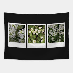 Assylum Photo Collection [white bundle] Tapestry