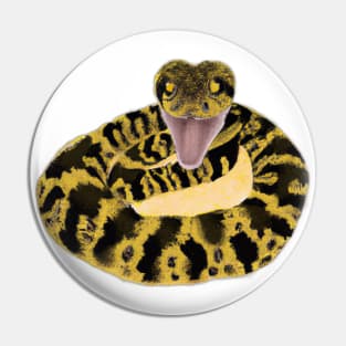Cute Rattlesnake Drawing Pin