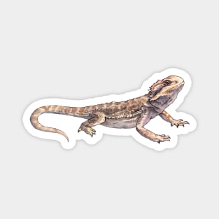 Pet bearded dragon - watercolor illustration Magnet