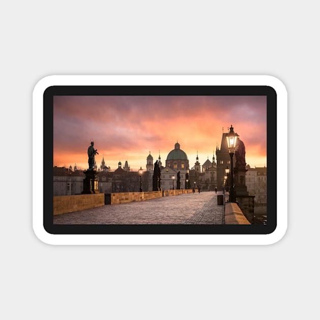 Charles Bridge (Karluv most) in Prague, Czech Republic Magnet by mitzobs