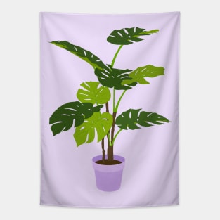 Potted Monstera Plant Purple Tapestry