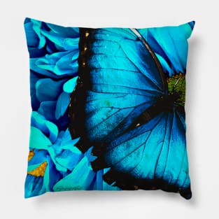 Blue Butterfly Pillow