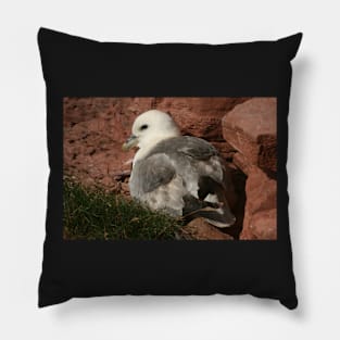 Fulmar Pillow