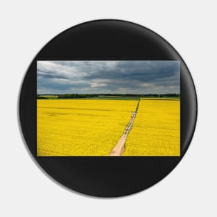 Agricultural landscape, fields of yellow colza under moody cloudy sky Pin