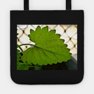 catnip Tote