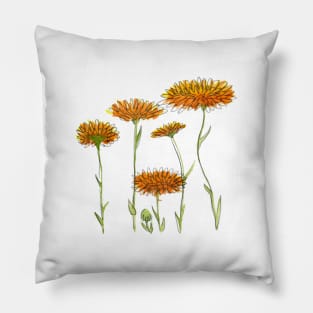 Calendula Pillow