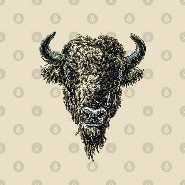 Bison head by SakalDesign