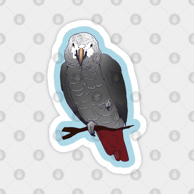 Timneh African Grey Parrot Perching on a Branch Magnet by Einstein Parrot