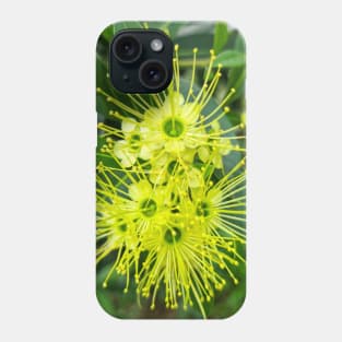 Golden Penda (Xanthostemon chrysanthus) Phone Case