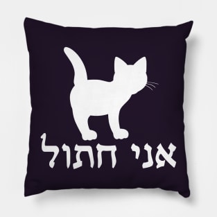 I'm A Cat (Hebrew, Masculine) Pillow