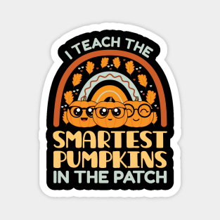 I Teach The Smartest Pumpkins In The Patch, Autumn Fall Gifts for Teachers Magnet