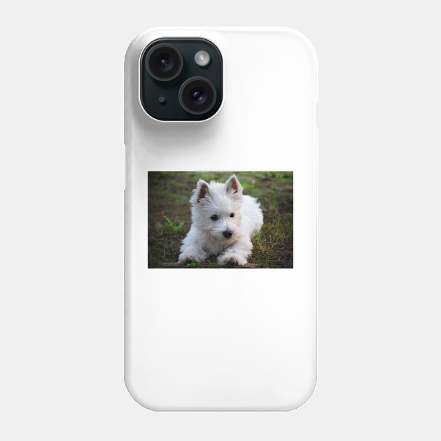 Westie Phone Case by princess-pirate