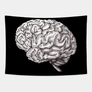 Brain Tapestry