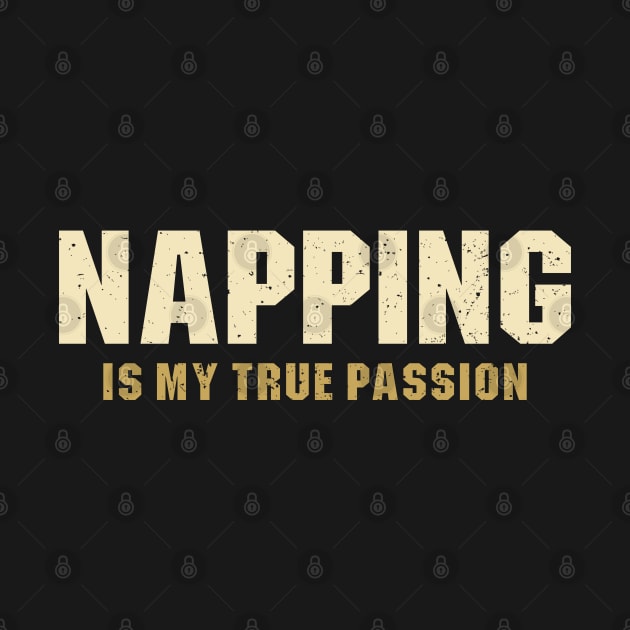 Napping is My True Passion by Ayana's arts