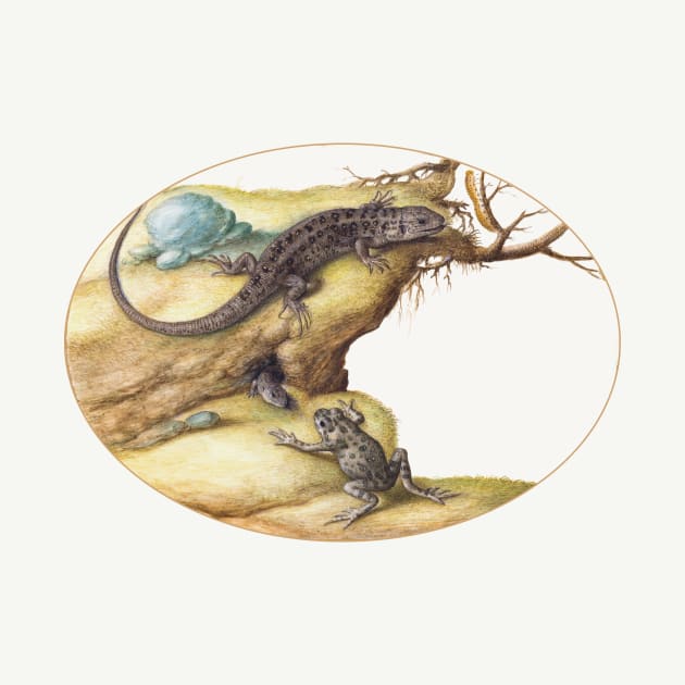 Lizards, Toad and Caterpillar (1575–1580) by WAITE-SMITH VINTAGE ART