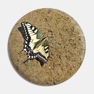 Sand Swallowtail Butterfly Pin