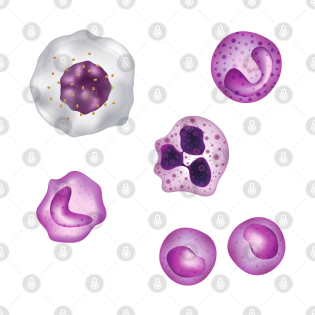 White Blood Cells WBCs Pattern Monocytes by labstud