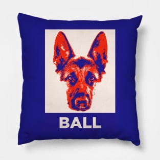 Ball Crazy Pillow