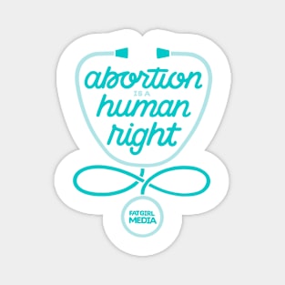 Abortion is a Human Right Magnet