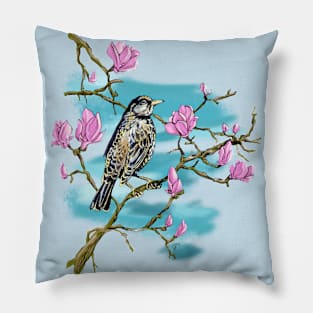 Spring Pillow