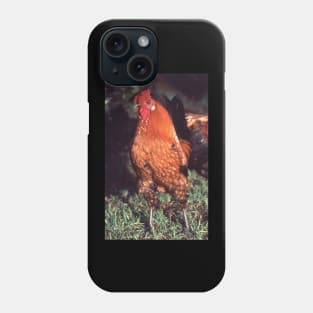 Who you calling a chicken ? Phone Case