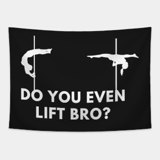 Do You Even Lift Bro  - Pole Dance Design Tapestry