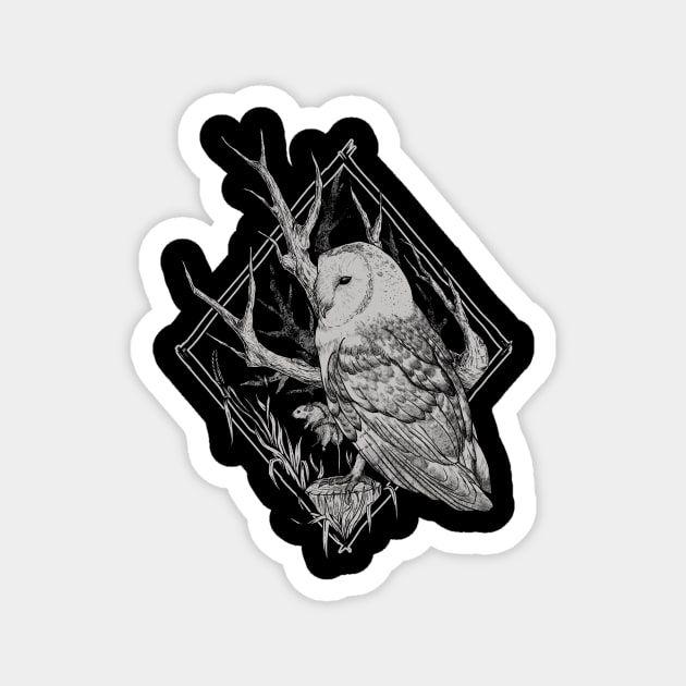 Owl Magnet by Chmurzasty