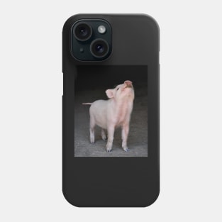 Piggy Phone Case