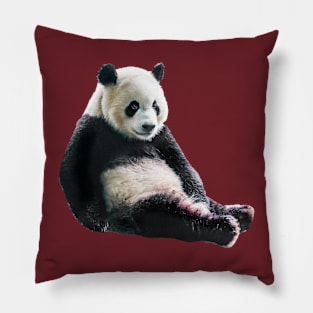 Pondering Panda Pillow